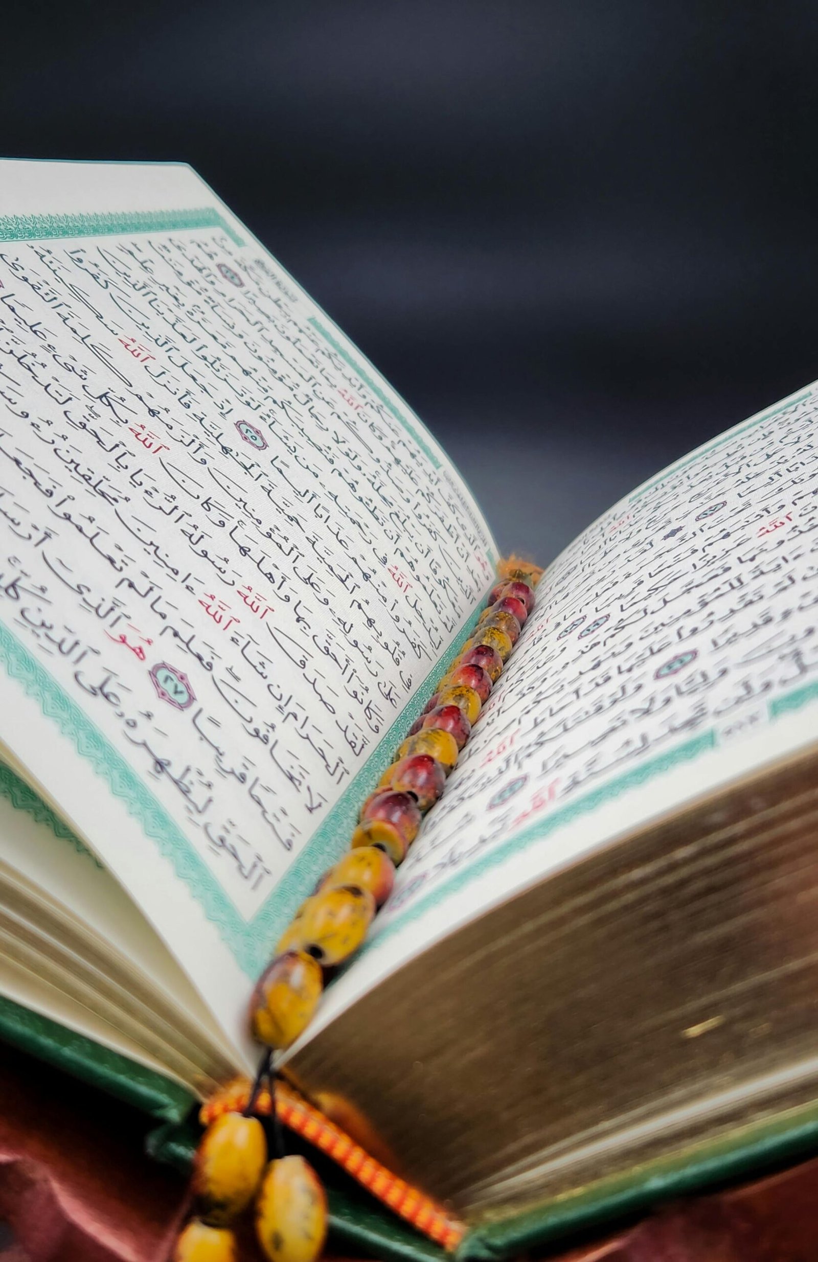 أسعار تحفيظ القرآن أون لاين في الولايات المتحدة
